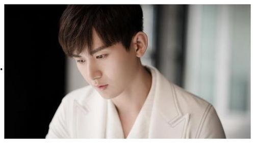 娱乐圈吃瓜成毅是谁,从幕后推手到明星背后的神秘力量