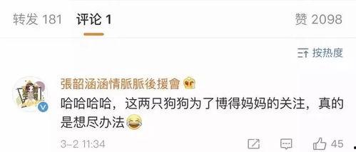 娱乐圈吃瓜总结,揭秘明星幕后真相与八卦传闻